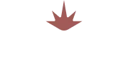 logo_image